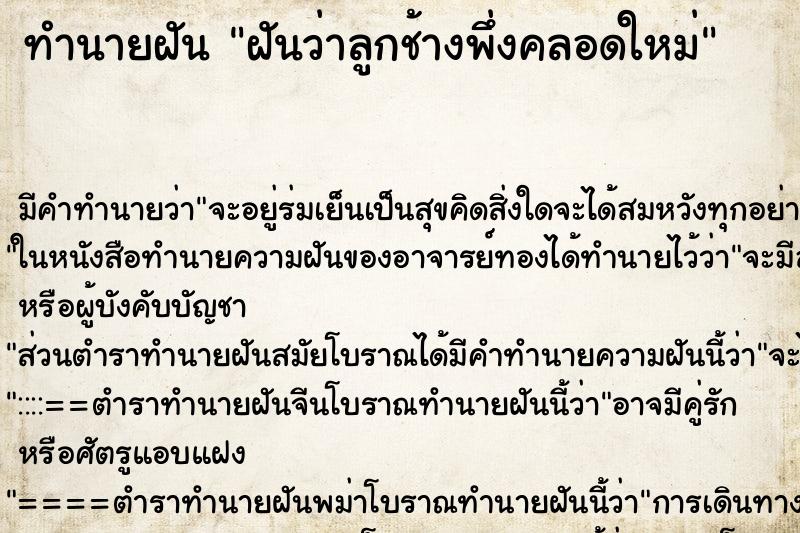 ทำนายฝันฝันว่าลูกช้างพึ่งคลอดใหม่ ทำนายฝันทำนายฝันฝันว่าลูกช้างพึ่งคลอดใหม่