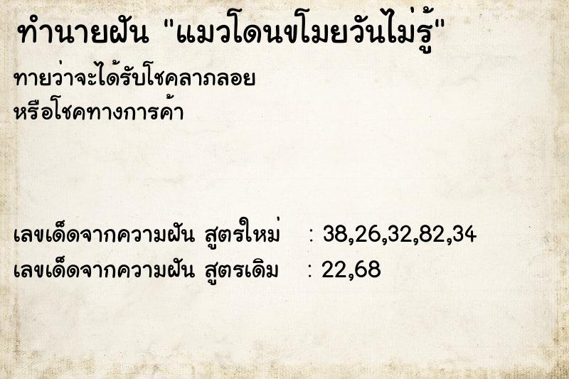 ทำนายฝันทำนายฝันแมวโดนขโมยวันไม่รู้