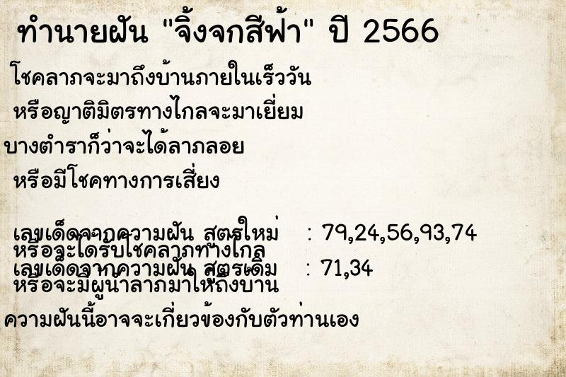 ทำนายฝันจิ้งจกสีฟ้า ทำนายฝันทำนายฝันจิ้งจกสีฟ้า