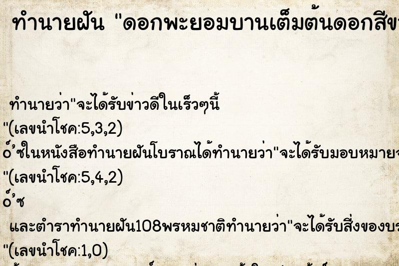 ทำนายฝันดอกพะยอมบานเต็มต้นดอกสีขาวนวลหอมบานเต็มทุ่ง ทำนายฝันทำนายฝันดอกพะยอมบานเต็มต้นดอกสีขาวนวลหอมบานเต็มทุ่ง