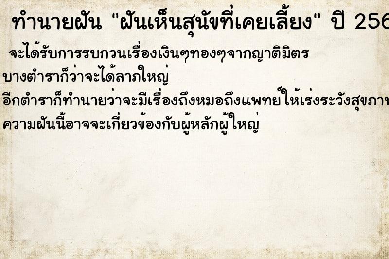 ทำนายฝันฝันเห็นสุนัขที่เคยเลี้ยง ทำนายฝันทำนายฝันฝันเห็นสุนัขที่เคยเลี้ยง