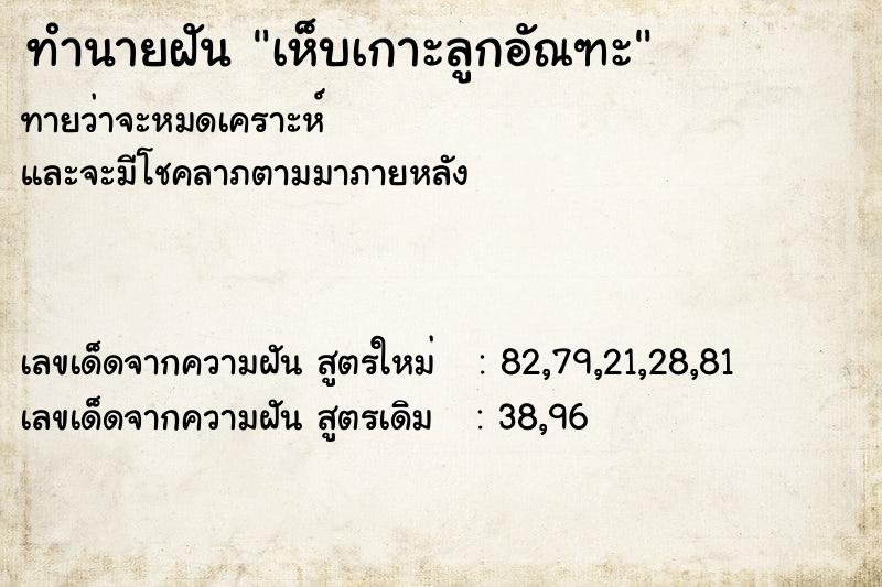 ทำนายฝัน เห็บเกาะลูกอัณฑะ ทำนายฝัน เห็บเกาะลูกอัณฑะ