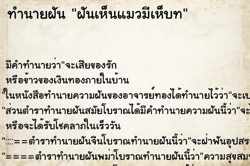 ทำนายฝันฝันเห็นแมวมีเห็บท ทำนายฝันทำนายฝันฝันเห็นแมวมีเห็บท