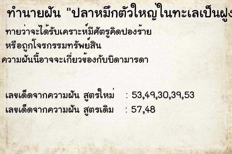 ทำนายฝัน ปลาหมึกตัวใหญ่ในทะเลเป็นฝูง ทำนายฝัน ปลาหมึกตัวใหญ่ในทะเลเป็นฝูง