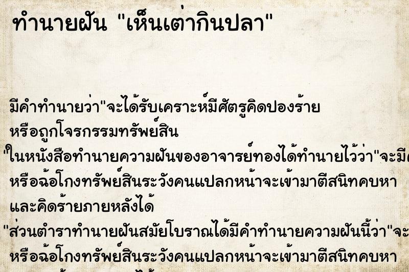 ทำนายฝัน เห็นเต่ากินปลา ตำราโบราณ แม่นที่สุดในโลก