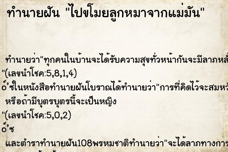 ทำนายฝันทำนายฝันไปขโมยลูกหมาจากแม่มัน