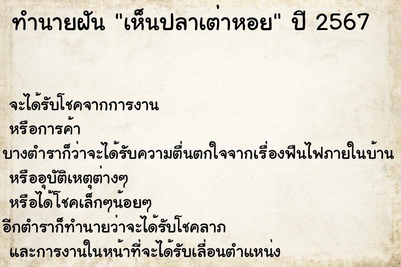 ทำนายฝัน เห็นปลาเต่าหอย ตำราโบราณ แม่นที่สุดในโลก