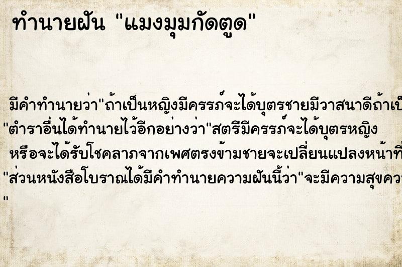 ทำนายฝันแมงมุมกัดตูด ทำนายฝันทำนายฝันแมงมุมกัดตูด