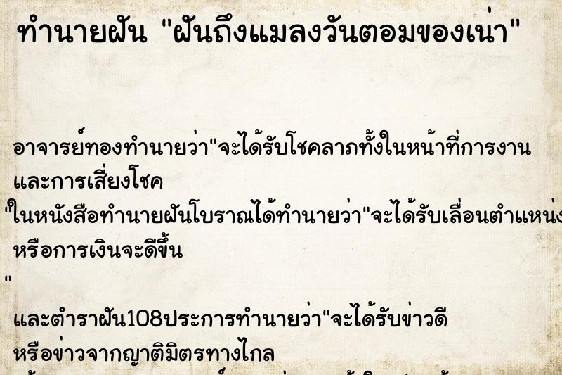 ทำนายฝันฝันถึงแมลงวันตอมของเน่า ทำนายฝันทำนายฝันฝันถึงแมลงวันตอมของเน่า