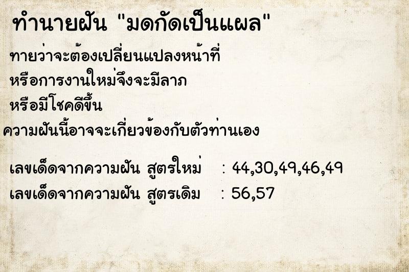 ทำนายฝันมดกัดเป็นแผล ทำนายฝันทำนายฝันมดกัดเป็นแผล