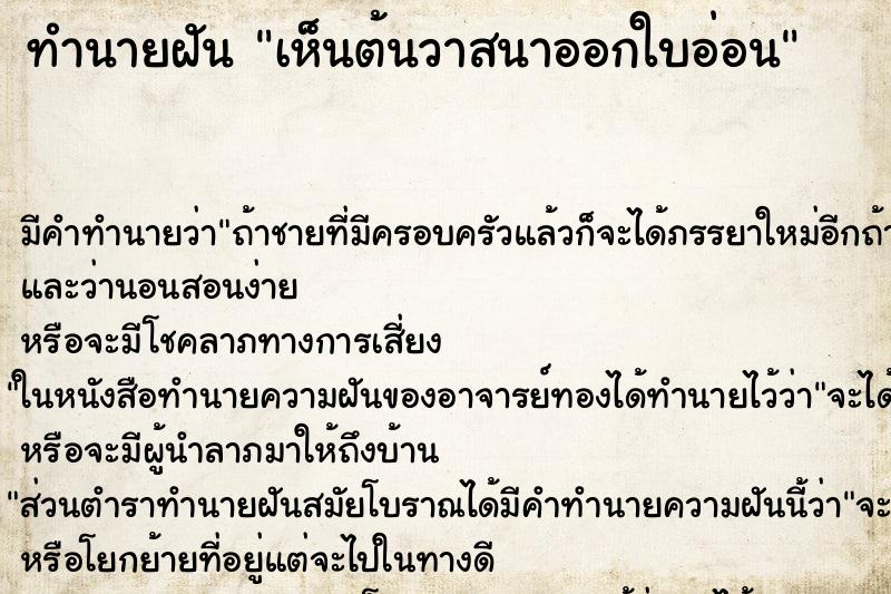 ทำนายฝัน เห็นต้นวาสนาออกใบอ่อน ทำนายฝัน เห็นต้นวาสนาออกใบอ่อน