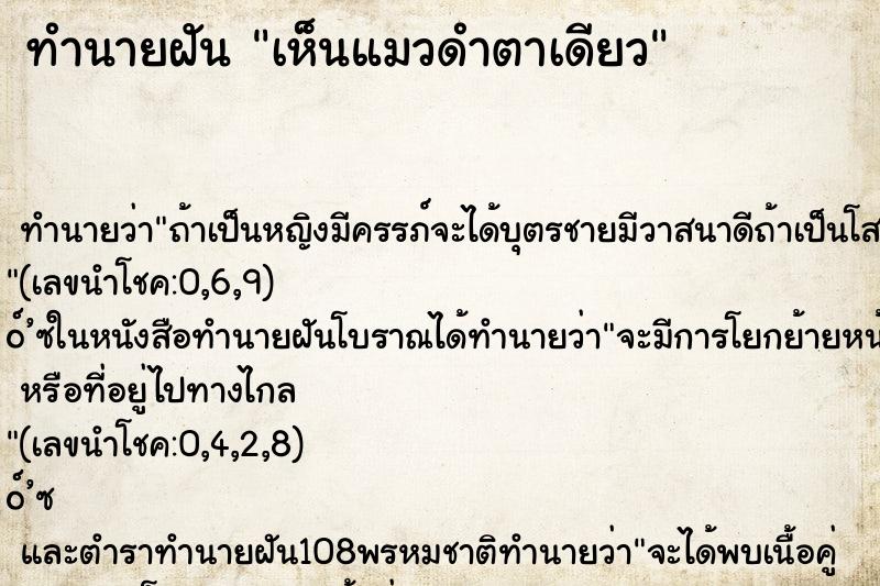 ทำนายฝันเห็นแมวดำตาเดียว ทำนายฝันทำนายฝันเห็นแมวดำตาเดียว