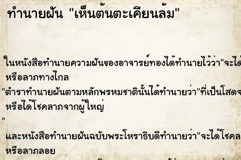 ทำนายฝันเห็นต้นตะเคียนล้ม ทำนายฝันทำนายฝันเห็นต้นตะเคียนล้ม