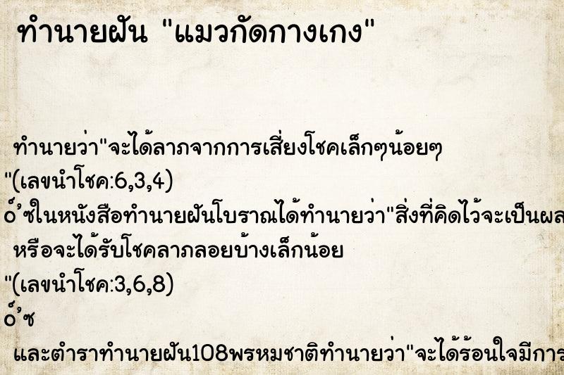 ทำนายฝันแมวกัดกางเกง ทำนายฝันทำนายฝันแมวกัดกางเกง