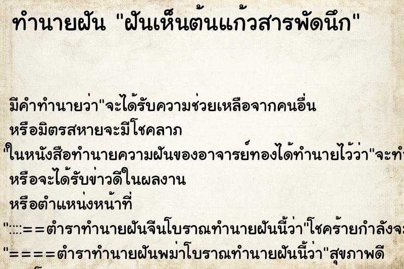 ทำนายฝันฝันเห็นต้นแก้วสารพัดนึก ทำนายฝันทำนายฝันฝันเห็นต้นแก้วสารพัดนึก