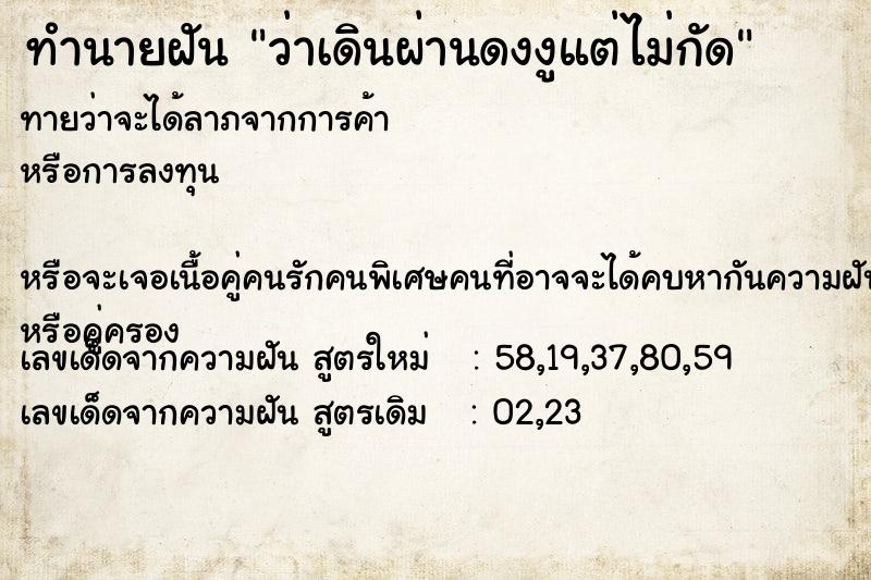 ทำนายฝันว่าเดินผ่านดงงูแต่ไม่กัด ทำนายฝันทำนายฝันว่าเดินผ่านดงงูแต่ไม่กัด