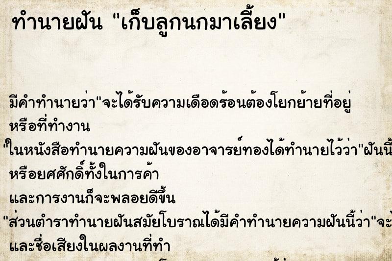 ทำนายฝัน เก็บลูกนกมาเลี้ยง ทำนายฝัน เก็บลูกนกมาเลี้ยง
