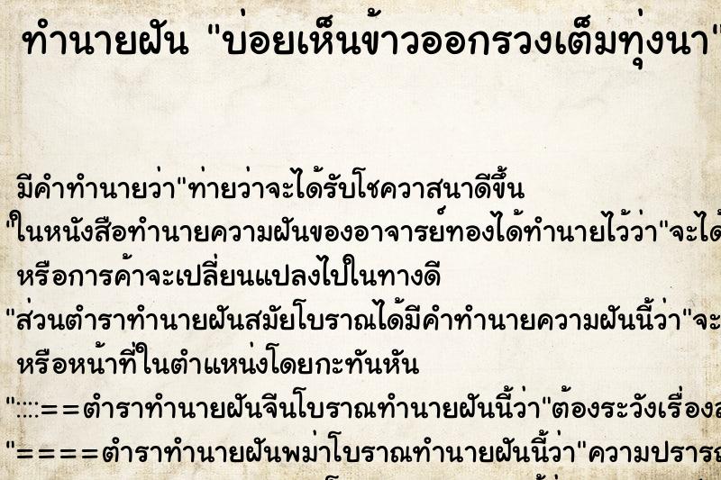 ทำนายฝัน บ่อยเห็นข้าวออกรวงเต็มทุ่งนา ทำนายฝัน บ่อยเห็นข้าวออกรวงเต็มทุ่งนา