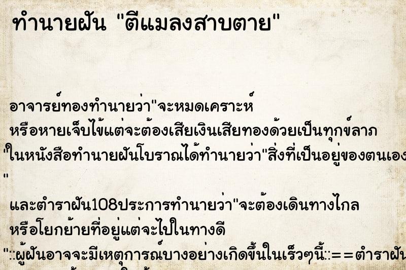 ทำนายฝัน ตีแมลงสาบตาย ทำนายฝัน ตีแมลงสาบตาย