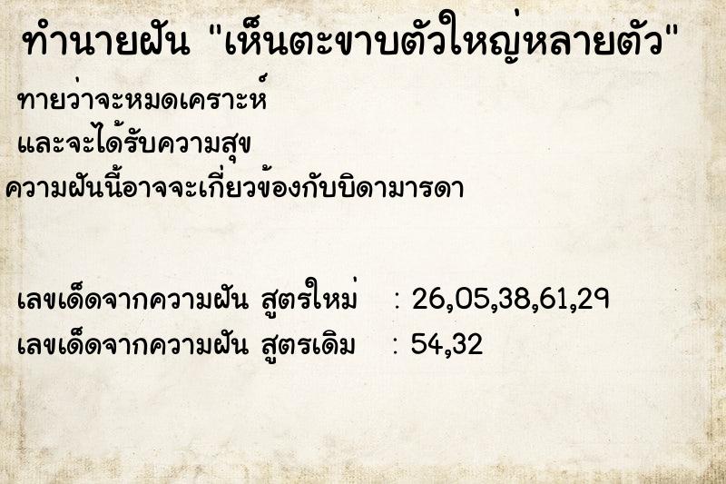 ทำนายฝัน เห็นตะขาบตัวใหญ่หลายตัว ทำนายฝัน เห็นตะขาบตัวใหญ่หลายตัว
