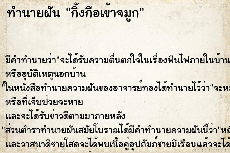 ทำนายฝัน กิ้งกือเข้าจมูก ทำนายฝัน กิ้งกือเข้าจมูก