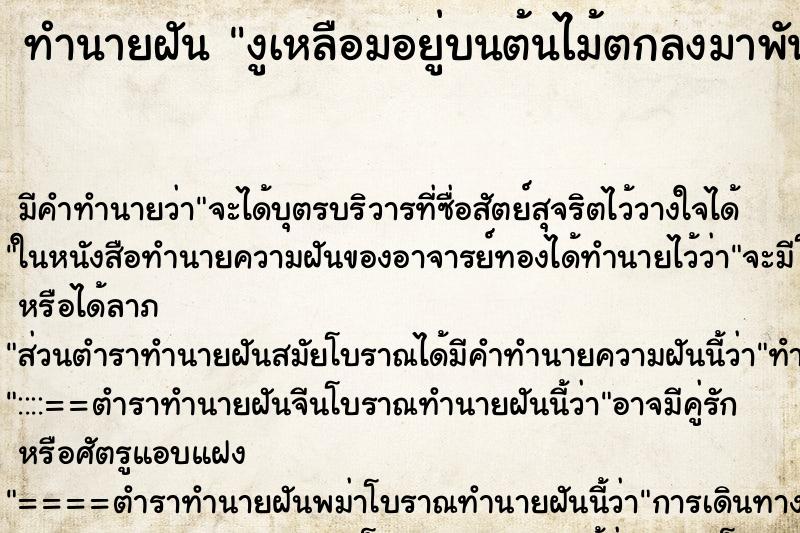 ทำนายฝันงูเหลือมอยู่บนต้นไม้ตกลงมาพันไหล่ ทำนายฝันทำนายฝันงูเหลือมอยู่บนต้นไม้ตกลงมาพันไหล่