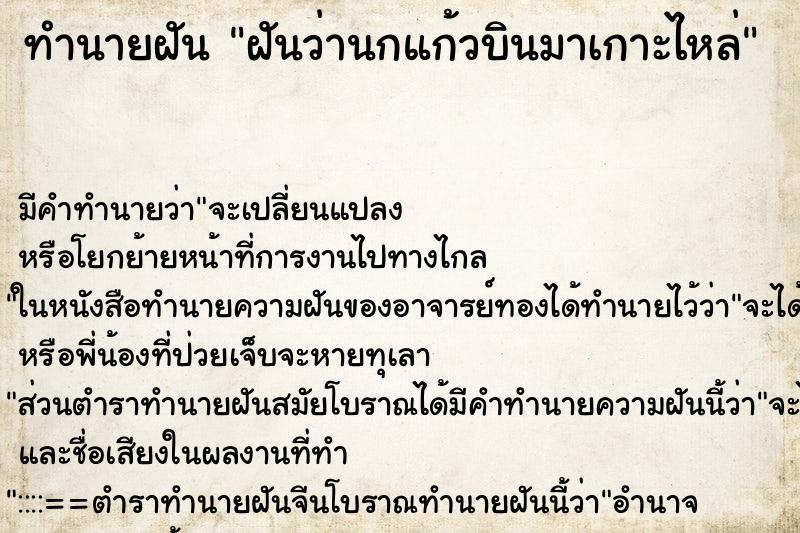 ทำนายฝัน ฝันว่านกแก้วบินมาเกาะไหล่ ตำราโบราณ แม่นที่สุดในโลก