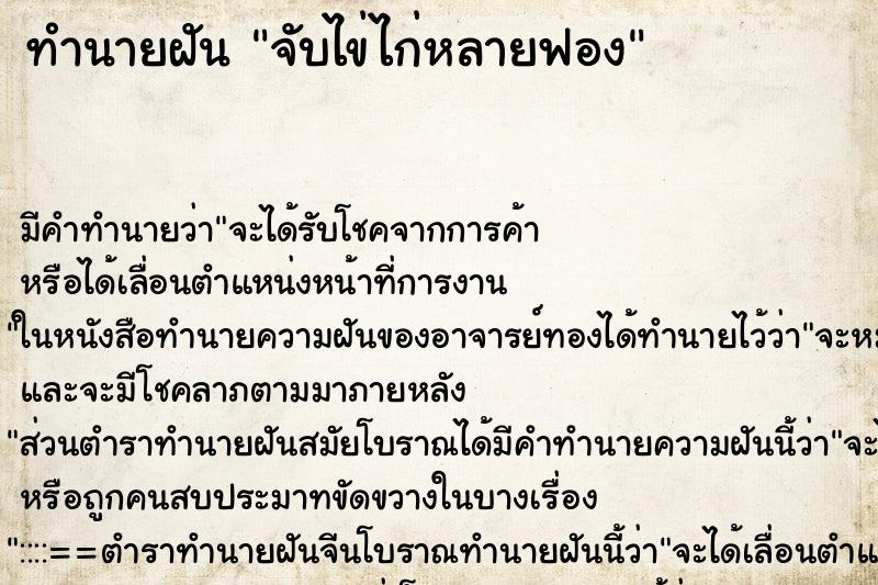 ทำนายฝัน จับไข่ไก่หลายฟอง ทำนายฝัน จับไข่ไก่หลายฟอง