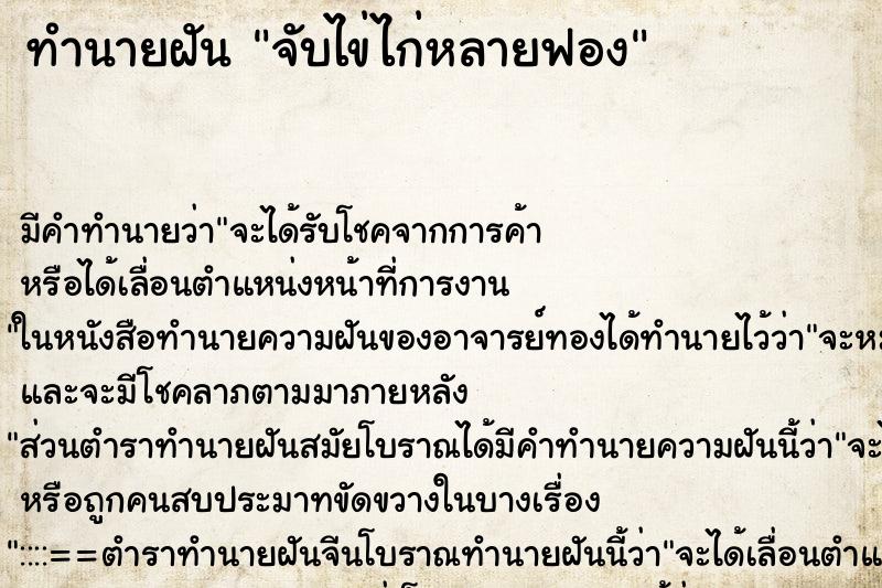 ทำนายฝัน จับไข่ไก่หลายฟอง ตำราโบราณ แม่นที่สุดในโลก