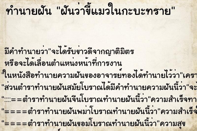 ทำนายฝันฝันว่าขี้แมวในกะบะทราย ทำนายฝันทำนายฝันฝันว่าขี้แมวในกะบะทราย