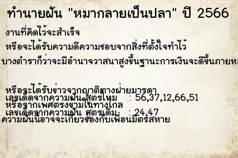 ทำนายฝันหมากลายเป็นปลา ทำนายฝันทำนายฝันหมากลายเป็นปลา