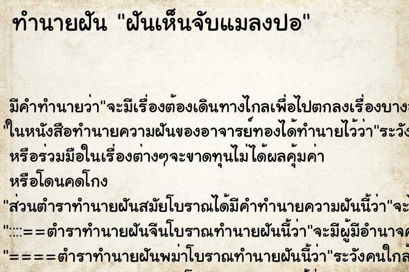 ทำนายฝัน ฝันเห็นจับแมลงปอ ทำนายฝัน ฝันเห็นจับแมลงปอ