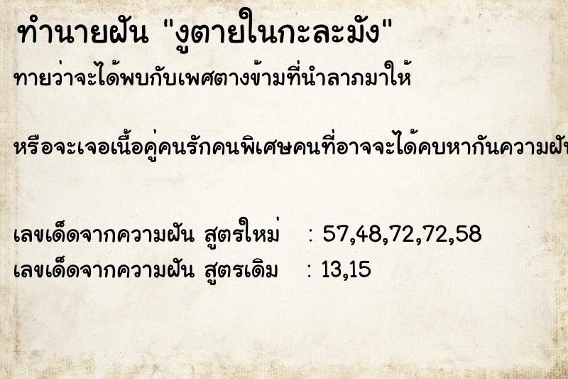 ทำนายฝัน งูตายในกะละมัง ทำนายฝัน งูตายในกะละมัง