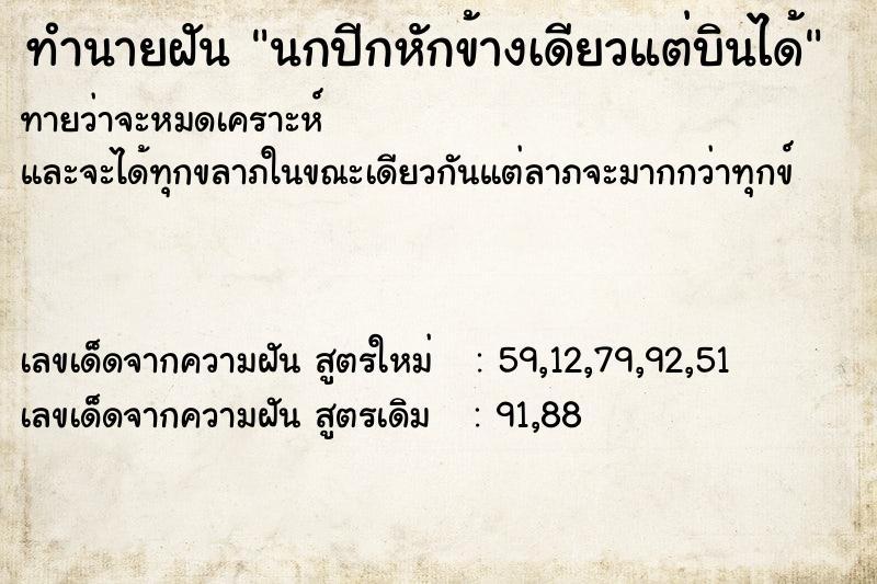 ทำนายฝันนกปีกหักข้างเดียวแต่บินได้ ทำนายฝันทำนายฝันนกปีกหักข้างเดียวแต่บินได้
