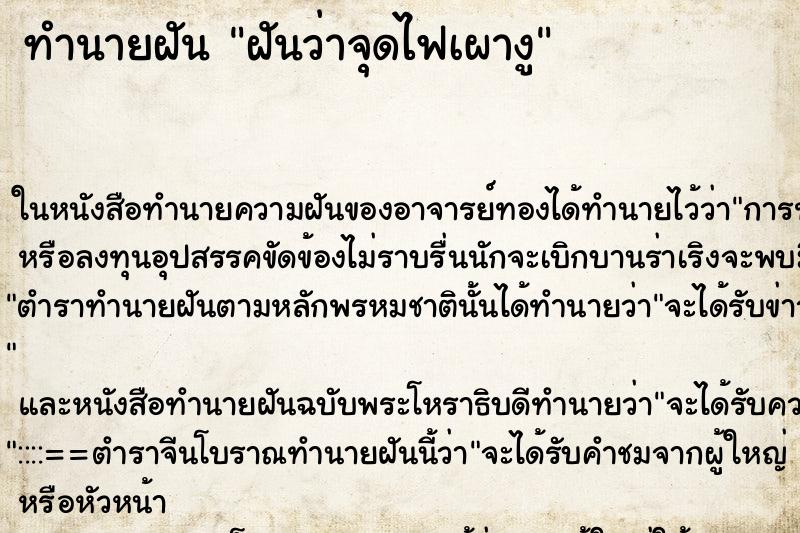 ทำนายฝันฝันว่าจุดไฟเผางู ทำนายฝันทำนายฝันฝันว่าจุดไฟเผางู