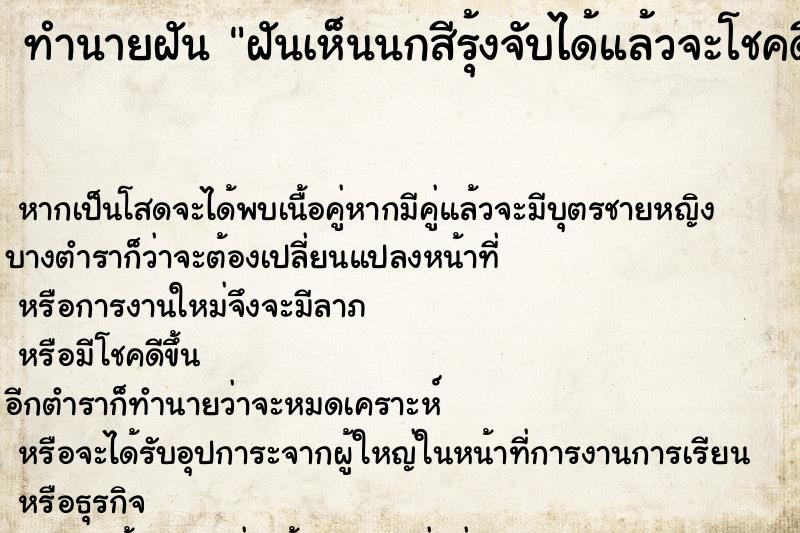 ทำนายฝันฝันเห็นนกสีรุ้งจับได้แล้วจะโชคดี ทำนายฝันทำนายฝันฝันเห็นนกสีรุ้งจับได้แล้วจะโชคดี
