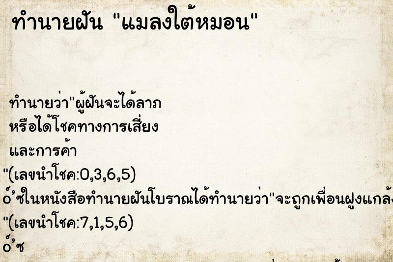 ทำนายฝัน แมลงใต้หมอน