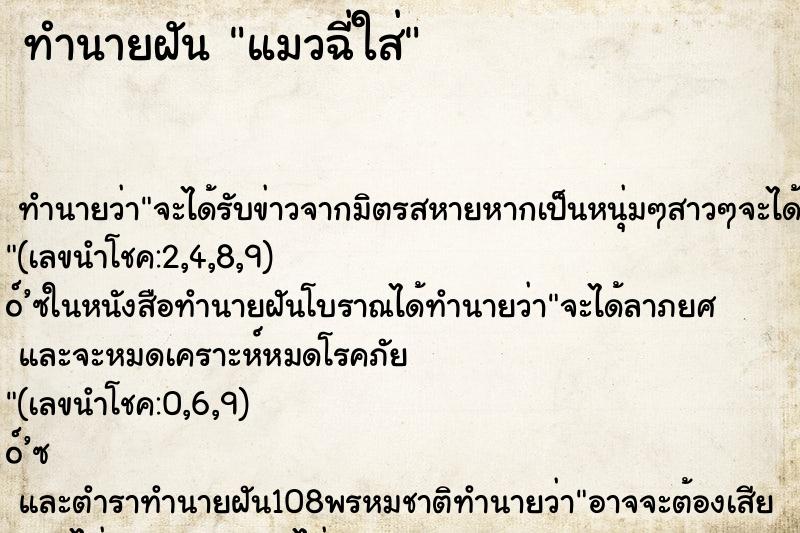 ทำนายฝัน แมวฉี่ใส่ ทำนายฝัน แมวฉี่ใส่