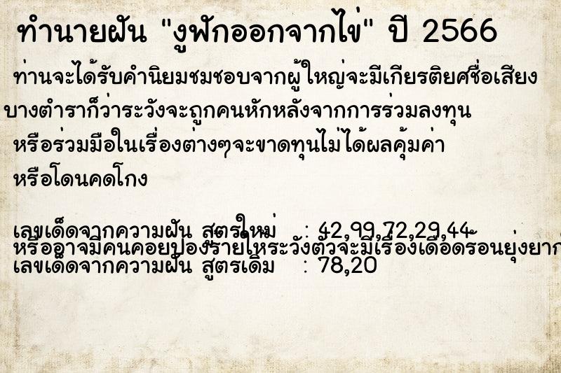 ทำนายฝัน งูฟักออกจากไข่ ทำนายฝัน งูฟักออกจากไข่
