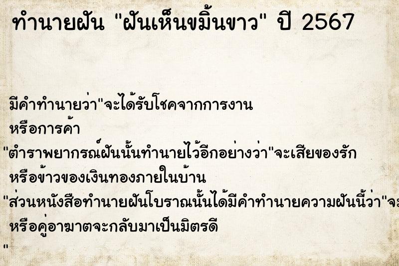 ทำนายฝันฝันเห็นขมิ้นขาว ทำนายฝันทำนายฝันฝันเห็นขมิ้นขาว