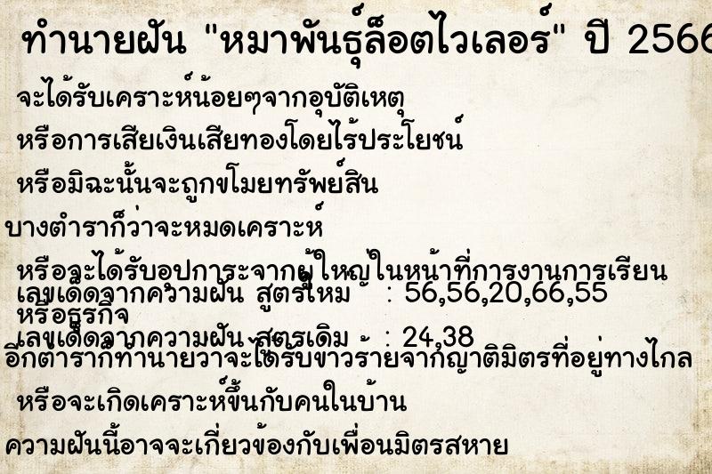 ทำนายฝัน หมาพันธุ์ล็อตไวเลอร์ ทำนายฝัน หมาพันธุ์ล็อตไวเลอร์