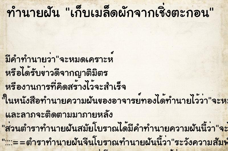 ทำนายฝันทำนายฝันเก็บเมล็ดผักจากเชิ่งตะกอน
