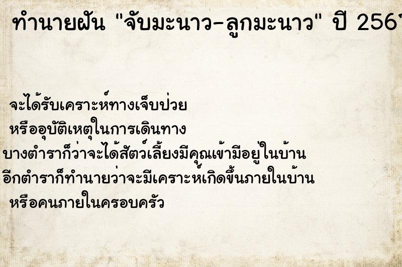 ทำนายฝันจับมะนาว-ลูกมะนาว ทำนายฝันทำนายฝันจับมะนาว-ลูกมะนาว
