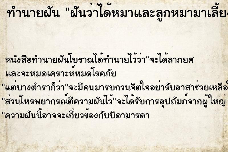 ทำนายฝัน ฝันว่าได้หมาและลูกหมามาเลี้ยง1ตัว ทำนายฝัน ฝันว่าได้หมาและลูกหมามาเลี้ยง1ตัว