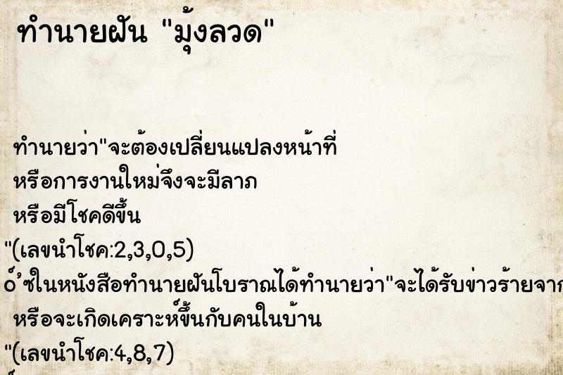 ทำนายฝันมุ้งลวด ทำนายฝันทำนายฝันมุ้งลวด