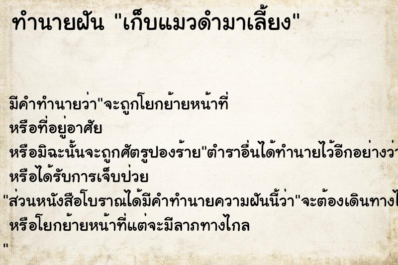 ทำนายฝัน เก็บแมวดำมาเลี้ยง ทำนายฝัน เก็บแมวดำมาเลี้ยง