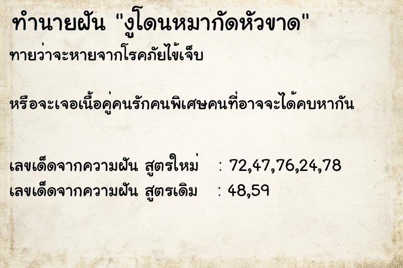 ทำนายฝันงูโดนหมากัดหัวขาด ทำนายฝันทำนายฝันงูโดนหมากัดหัวขาด