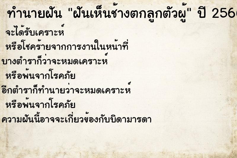 ทำนายฝันฝันเห็นช้างตกลูกตัวผู้ ทำนายฝันทำนายฝันฝันเห็นช้างตกลูกตัวผู้