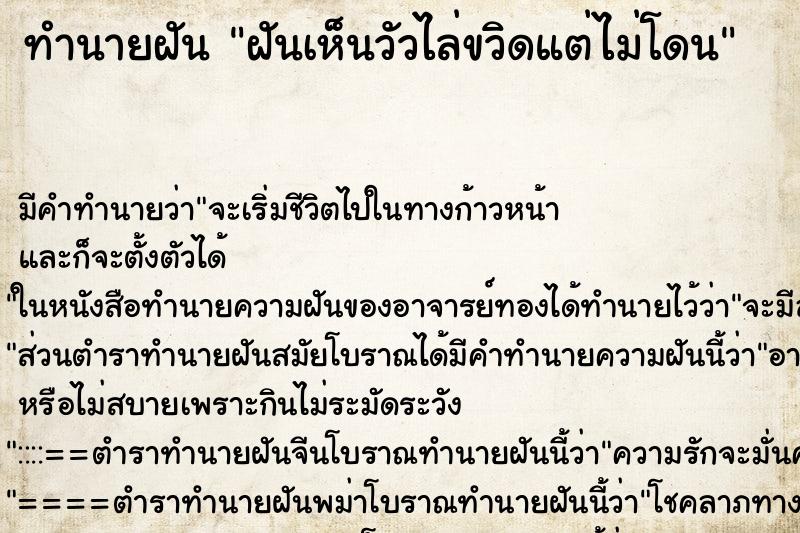 ทำนายฝัน ฝันเห็นวัวไล่ขวิดแต่ไม่โดน ทำนายฝัน ฝันเห็นวัวไล่ขวิดแต่ไม่โดน