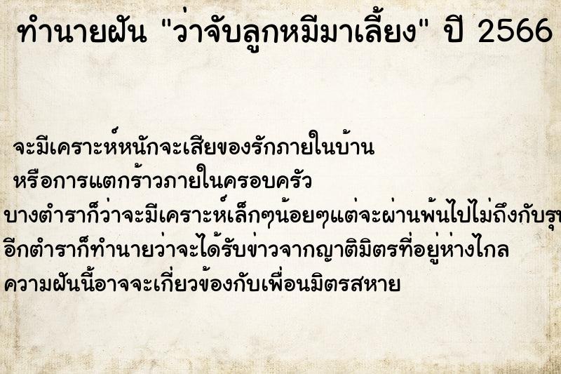 ทำนายฝันว่าจับลูกหมีมาเลี้ยง ทำนายฝันทำนายฝันว่าจับลูกหมีมาเลี้ยง